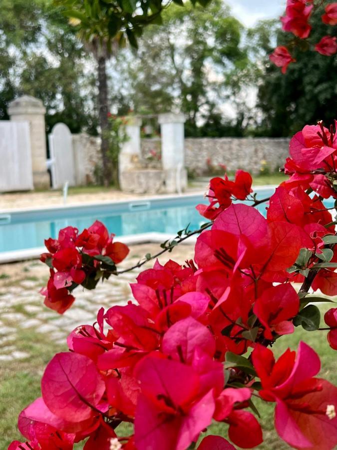 Villa Encantamiento - Dimora Gelsomino - Masseria Storica Nel Cuore Della Puglia Con Piscina Latiano Екстериор снимка